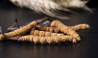 虫草花长白毛还能吃吗（虫草花长了白色毛毛还能吃吗）