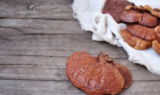 灵芝粉的保存方法 灵芝打成粉怎么保存