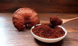 灵芝孢子粉的功效是什么 灵芝孢子粉的功效是什么?回答主题!