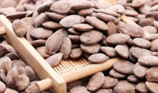 瓜蒌子功效与作用 瓜蒌子功效与作用点