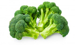 西兰花的作用功效与作用(西兰花的功效与作用点)