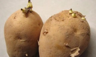 土豆长牙剜掉能吃吗（土豆长牙挖了牙能吃吗?）