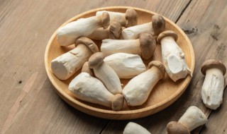 杏鲍菇的功效作用有哪些（杏鲍菇的作用与功功效）