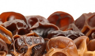 怎样分辨木耳的好坏 怎样鉴别木耳好坏