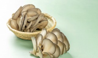 云南什么时候蘑菇最多 云南为什么蘑菇种类多