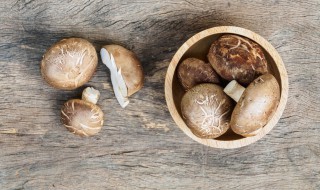 香菇如何挑选（香菇怎么挑选）