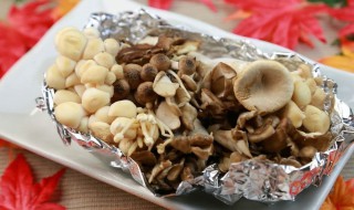 常吃菌类的食物 平常吃的菌类