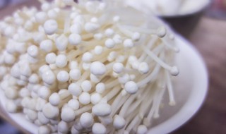 适合孕妇吃金针菇的做法（孕妇吃金针菇怎么做）