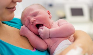 木字旁的男孩名字属猴（猴年宝宝名字大全男孩带木字旁）