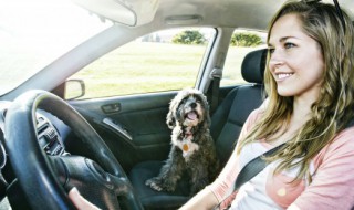 靠边停车的步骤（靠边停车的步骤科三）