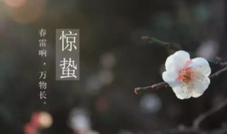 惊蛰后是什么节气 惊蛰然后是什么节气