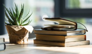 陌离是什么意思（陌离是啥意思）