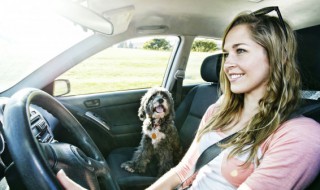 倒车入库方法有哪几种 倒车入库常用的两种方法