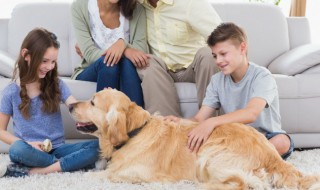 睿名字的含义是什么? 刘航睿名字的含义是什么