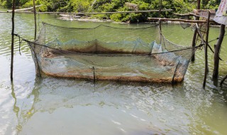 好听的养殖合作社名字大全 养殖专业合作社名字大全