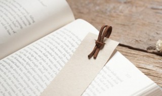 回延安作者 回延安作者是谁