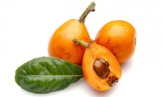 水果腐烂后的小飞虫从哪里来的 水果烂了小飞虫是怎么来的