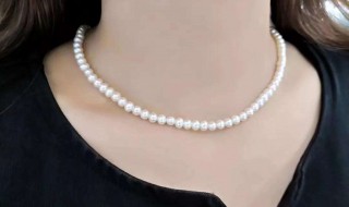 珍珠项链搭配方法 搭配珍珠的项链