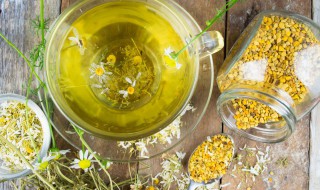 苦菊能不能生着吃 苦菊可不可以生吃