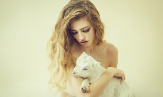 如何判断狗狗是不是快死了