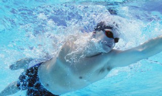 自由泳的专业训练动作（自由泳 动作要领）