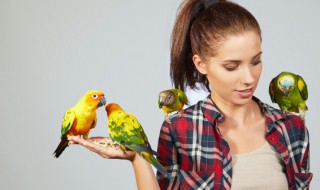 怎么教鹦鹉学说话（怎么教鹦鹉学说话视频）