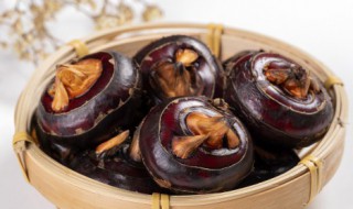 水果马蹄又叫什么 水果马蹄又叫什么怎么读