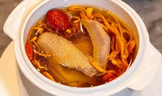 虫草炖鸽子（虫草炖鸽子汤的做法）