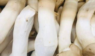 野生鸡腿菇发黑能吃吗（鸡腿菇发黑可以吃吗?）