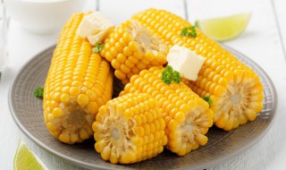 玉米能和海鲜菇一起吃吗 玉米可以和海鲜菇一起吃吗