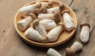 杏鲍菇可以用来包饺子吗（杏鲍菇和什么搭配能包饺子吃）