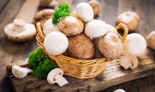 鸡腿菇长白毛还能吃吗(鸡腿蘑菇长白毛能吃吗)