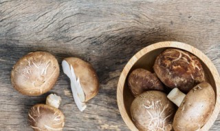 香菇有点苦能吃吗 香菇有点苦可以吃吗