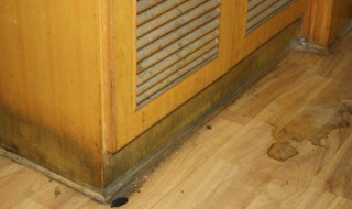 旧柜子发霉有味怎么去除 柜子发霉的味道怎么去除