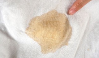 菜渍怎么洗掉（如何洗掉衣服上的菜渍）