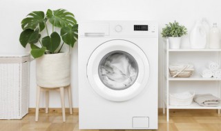 洗衣机清洗剂怎么用(滚筒洗衣机清洗剂怎么用)