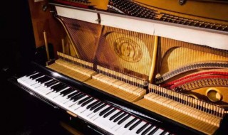 钢琴如何保养（钢琴怎么保养常识）