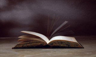 貔貅的寓意及象征是什么 各种貔貅的寓意及象征