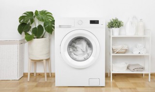 洗衣机长期停用该如何保养的常识 洗衣机用定期清洗吗