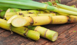 甘蔗常温下可以放多久 甘蔗怎么放时间长