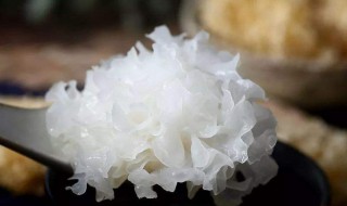 银耳的种类有哪些（银耳分为哪几种,哪种好）