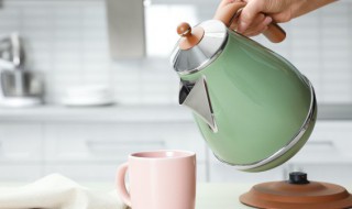 如何选购电热水壶（如何选购电热水壶?）