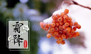 霜降早安祝福朋友圈节日说说（霜降节气说说朋友圈祝福问候）