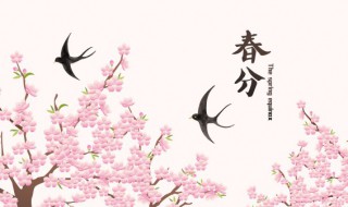 2022年春分是哪天 2022年春分是哪天?