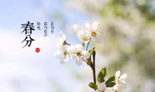 春分和惊蛰的区别是什么(春分和惊蛰哪个在前)