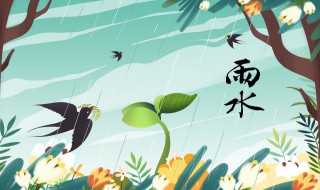 苏州雨水吃什么传统食物(雨水的传统美食)