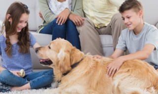 青少年早恋怎么办（青春期少年早恋了怎么办）