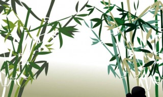 竹子代表什么人物 竹子代表什么人物写一段话50字