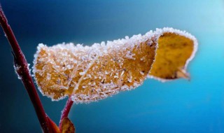 霜降代表什么意思（霜降代表什么意思是什么）