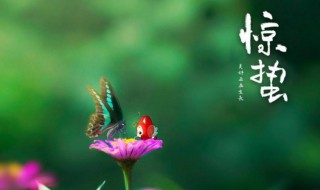 惊蛰代表着什么意思 惊蛰是代表什么意思